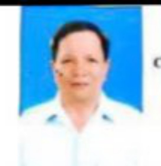Ảnh chân dung ông/bà Trần Đức Tình